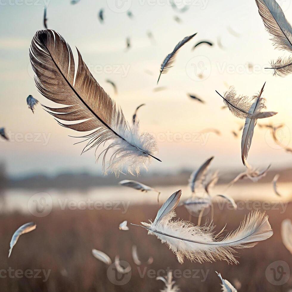 Flying Feathers in Motion Light, Airy Feathers Floating on Minimal Background photo