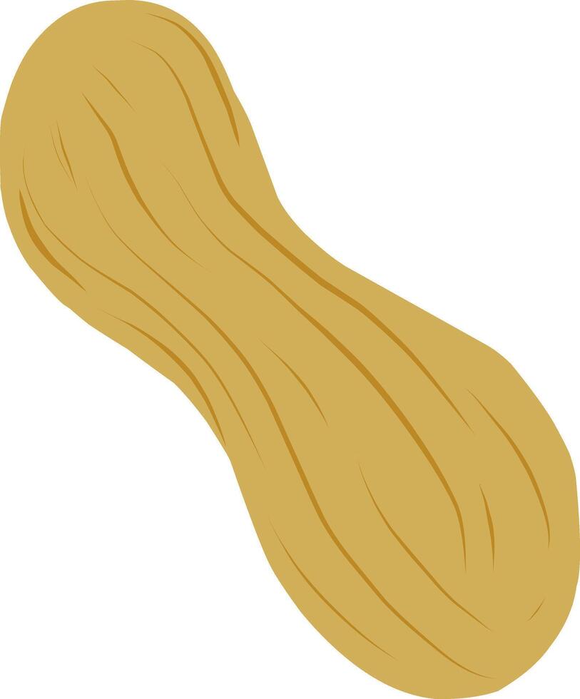 Cute Flat Cartoon Peanut Illustration vector