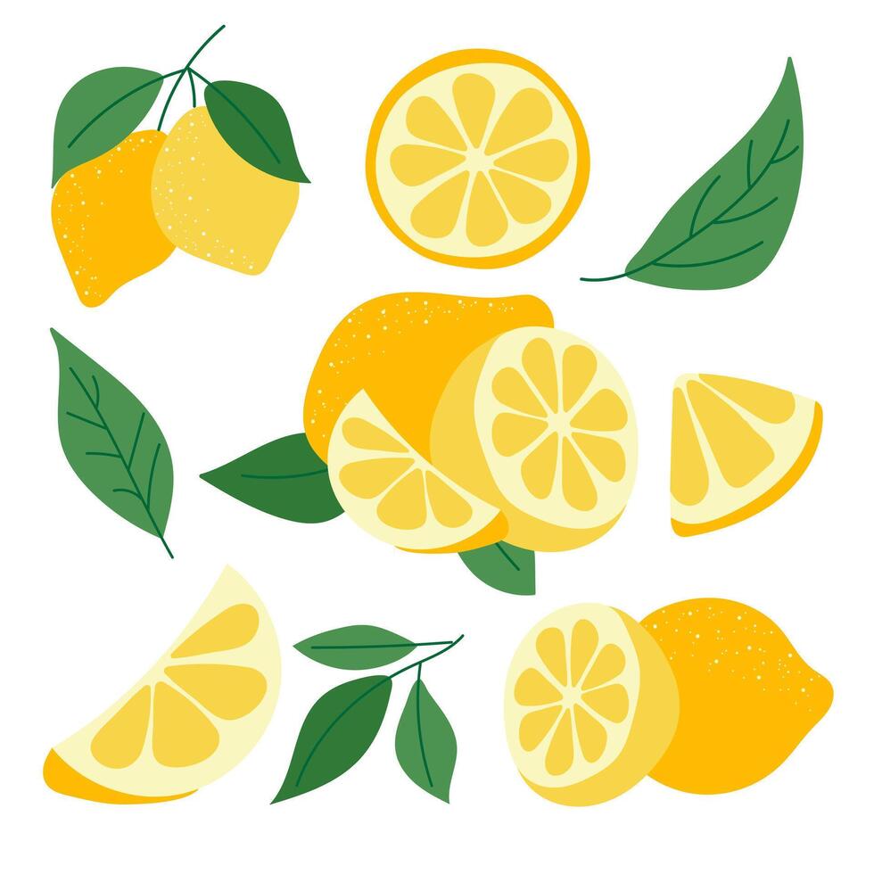 Flat Lemon Set. Whole Lemon Fruit with Leaves, Lemons Slices and Cut. Tropical fruit slice, fresh green leaves, yellow lemons isolated on white Background. Organic lemonade juice or Vitamin C. vector