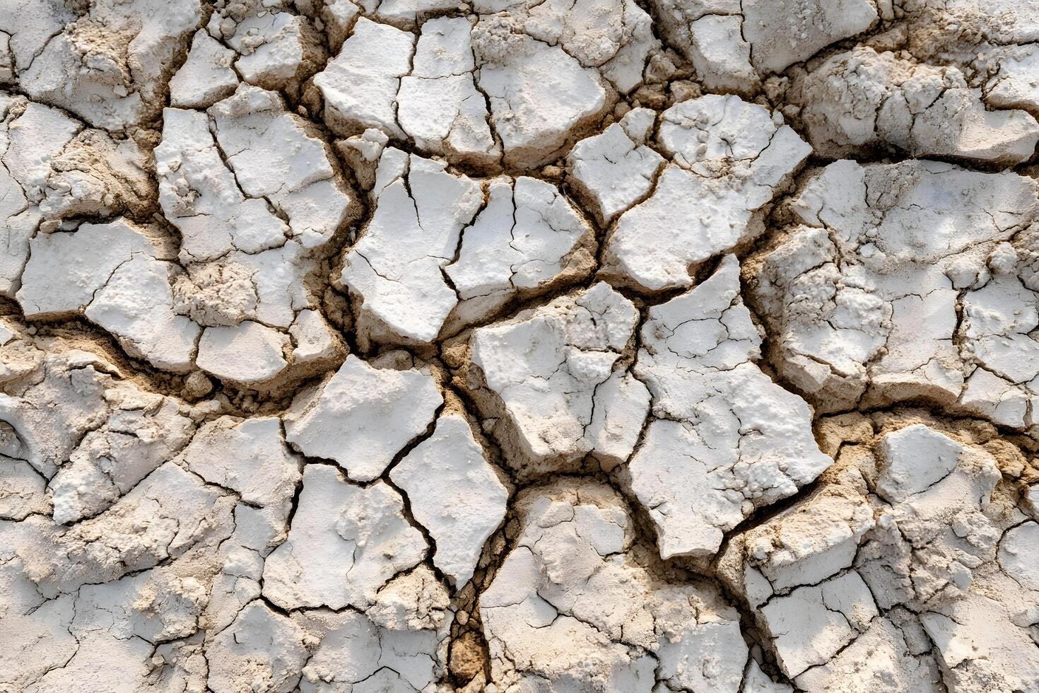 Cracked dry earth texture photo