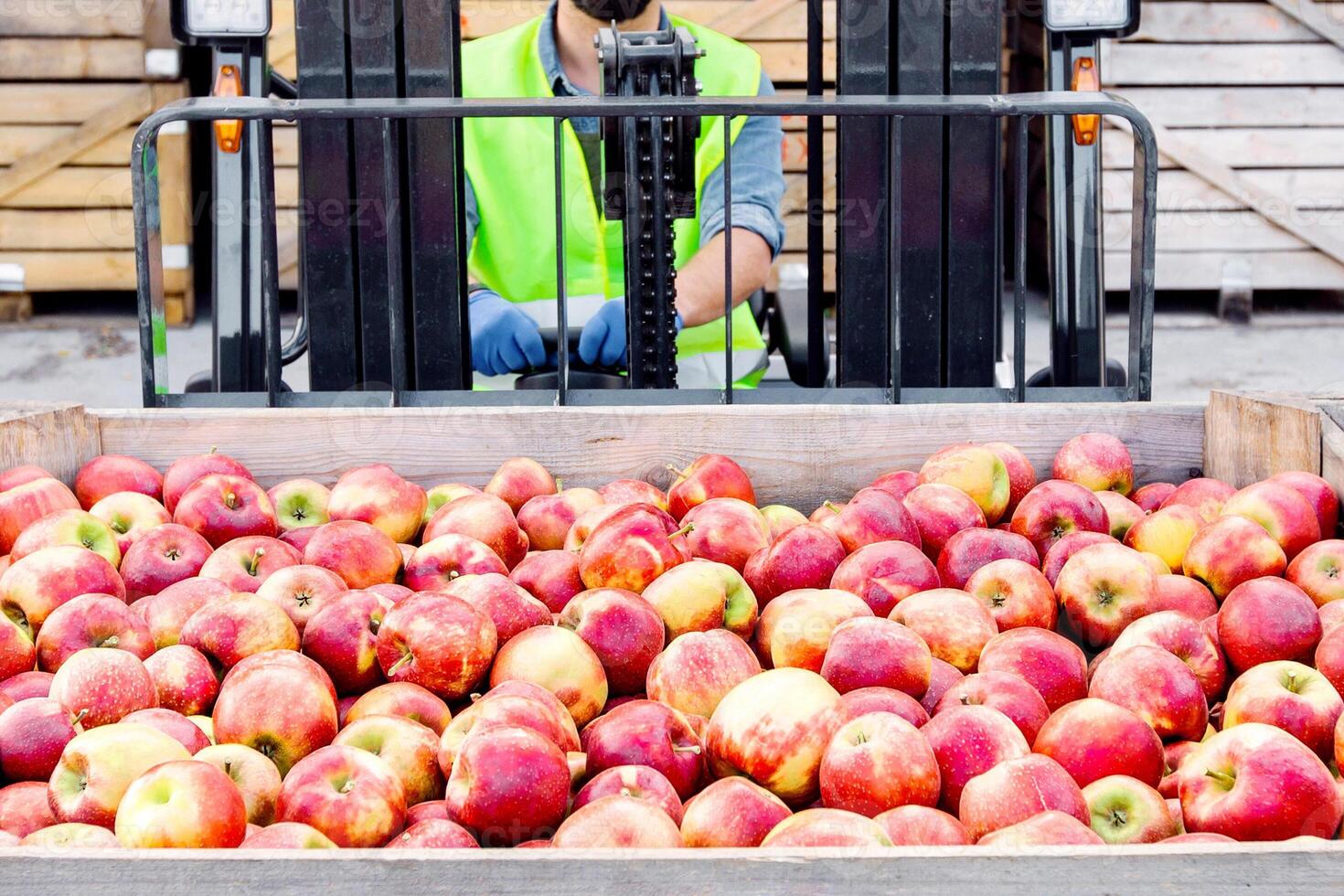 Transport for load goods, work at warehouse, delivery and distribution. Smiling adult man driver in helmet in forklift truck lifts up red apples in container on shelves, on wooden boxes background photo