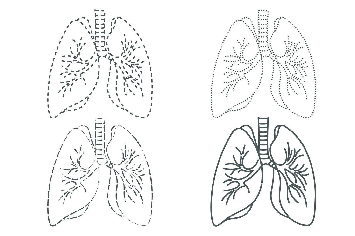 Lungs Dotted Line Arts Design vector