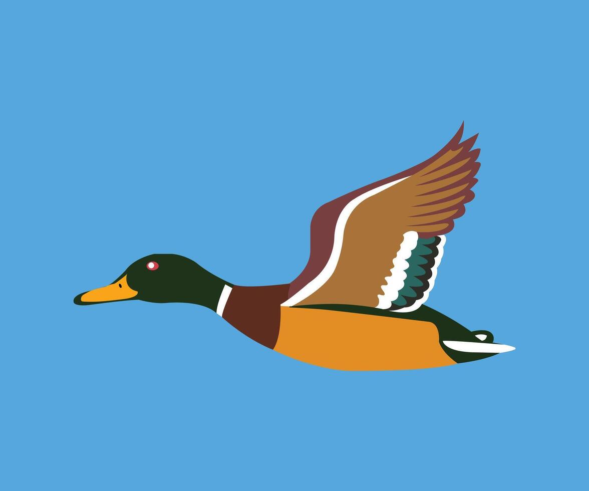sky mallard duck illustration art vector