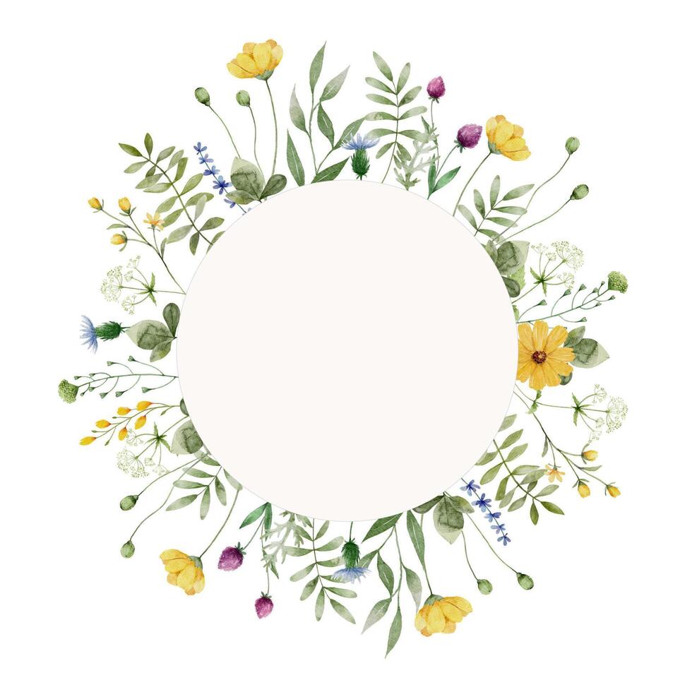 Watercolor Wildflower Frame vector