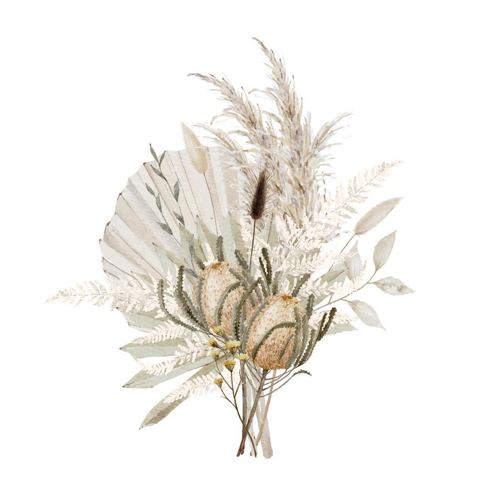 Watercolor Boho Flowers Bouquet with Banksia, Dried Palm Leaves, Pampas, Fern and Bunny Tails vector