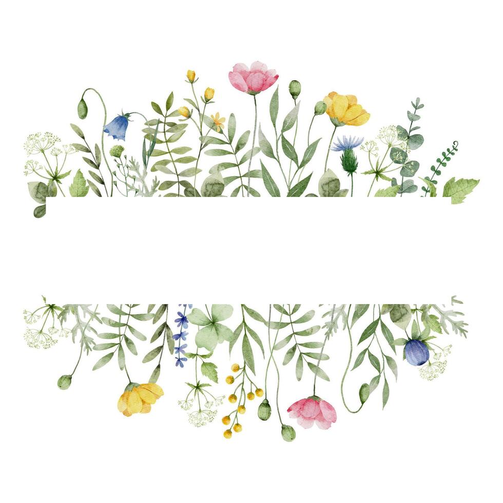 Watercolor Meadow Flower Frame vector