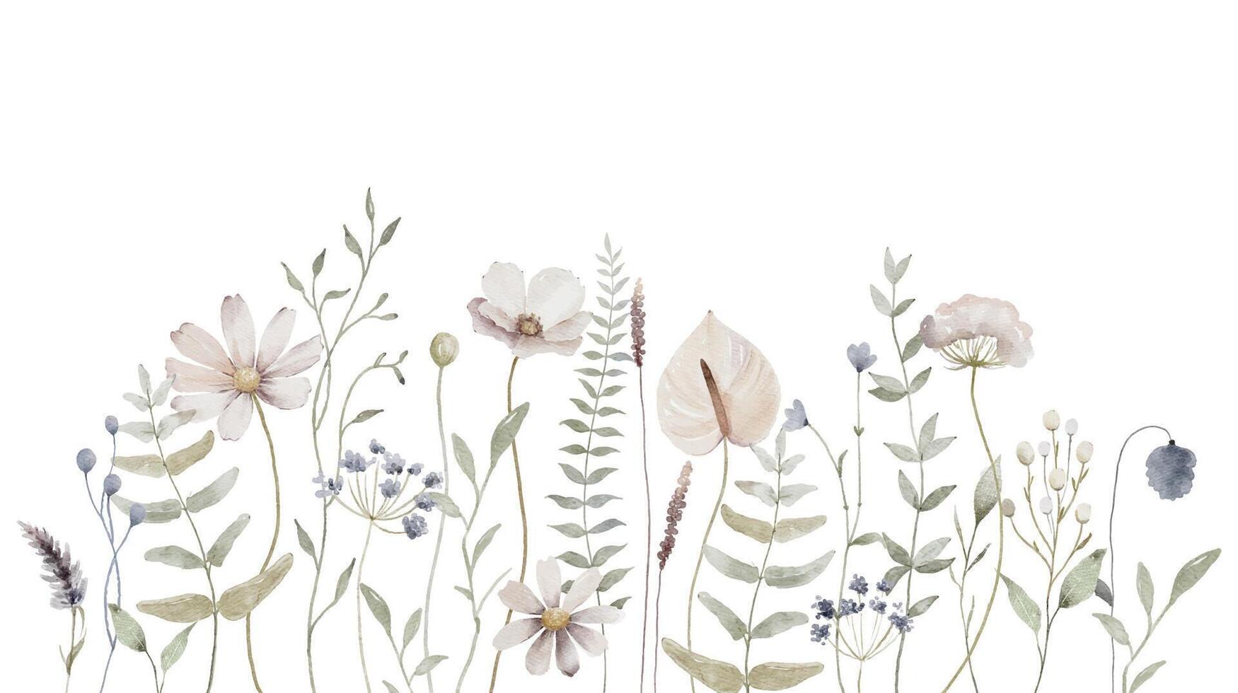 Watercolor floral background. Hand painted wildflowers, meadow flowers, isolated on white background vector