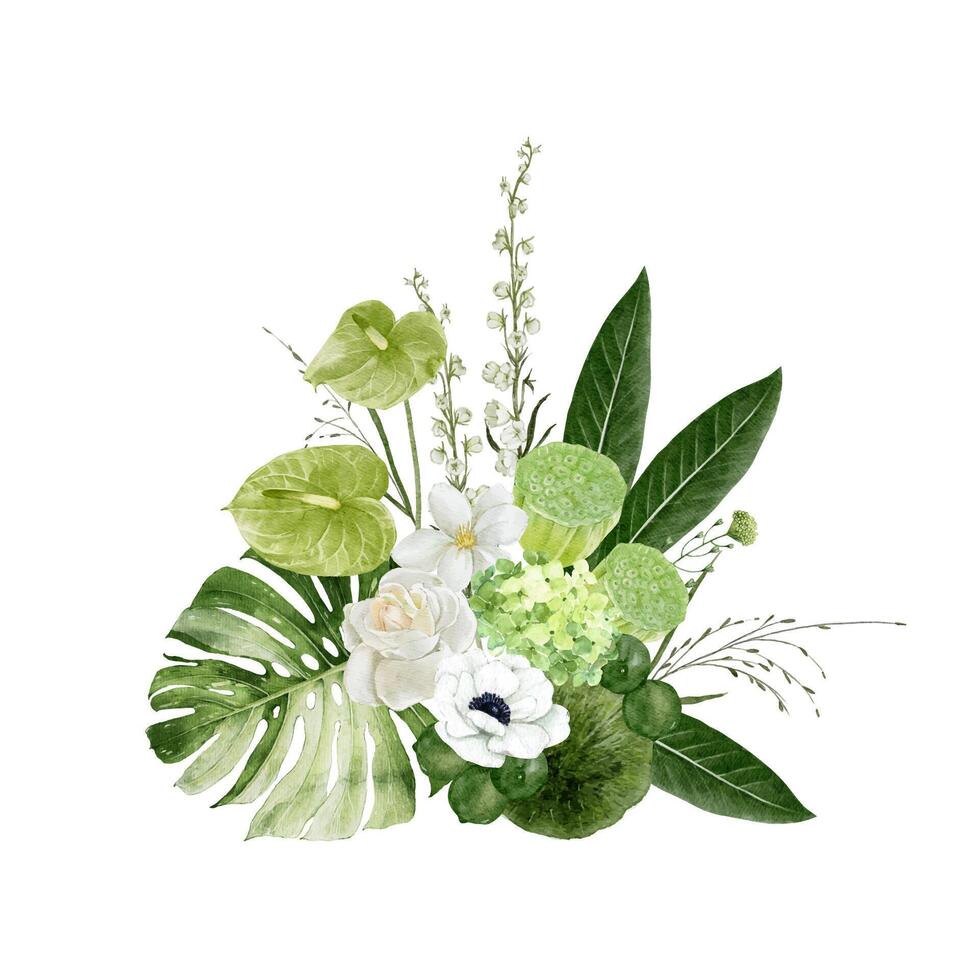 Tropical Greenery Floral Bouquet with Green Anthurium Flower, Lotus Fruits, Rose and Monstera Leaf Isolated on white background vector
