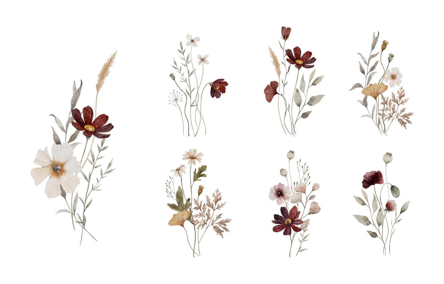Dried Wild Flower Flower Bouquet Collection vector