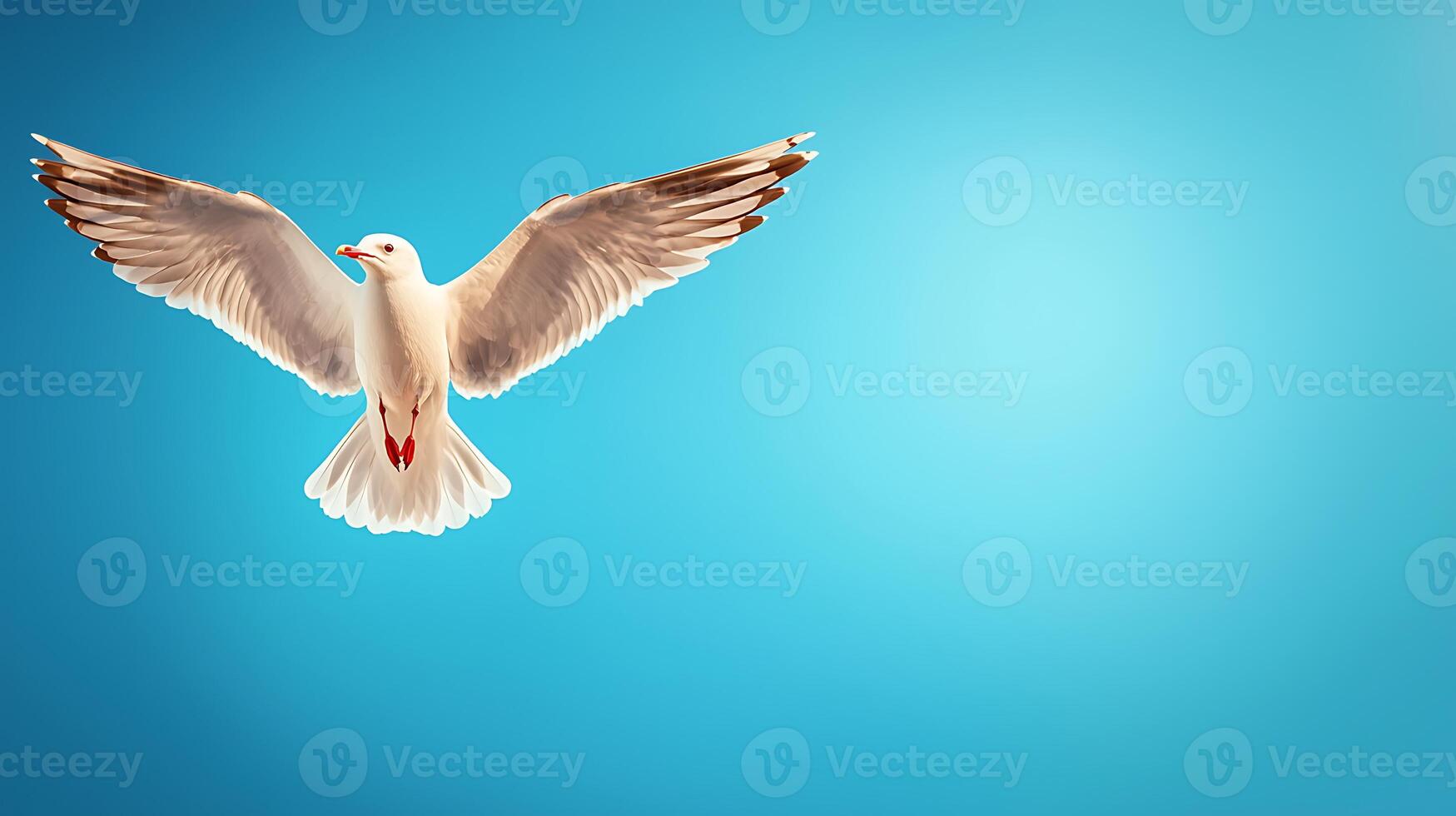 A seagull gracefully soaring against a vibrant blue sky, capturing the essence of freedom photo