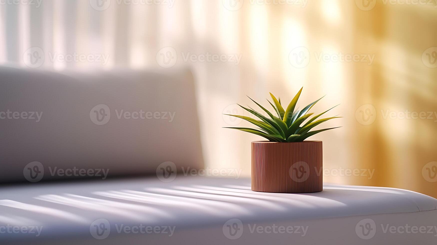 A serene indoor scene featuring a small potted plant on a white couch with soft lighting photo