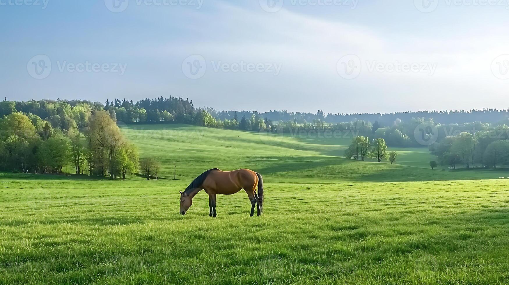 A serene landscape featuring a horse grazing in a lush green field under a clear sky photo