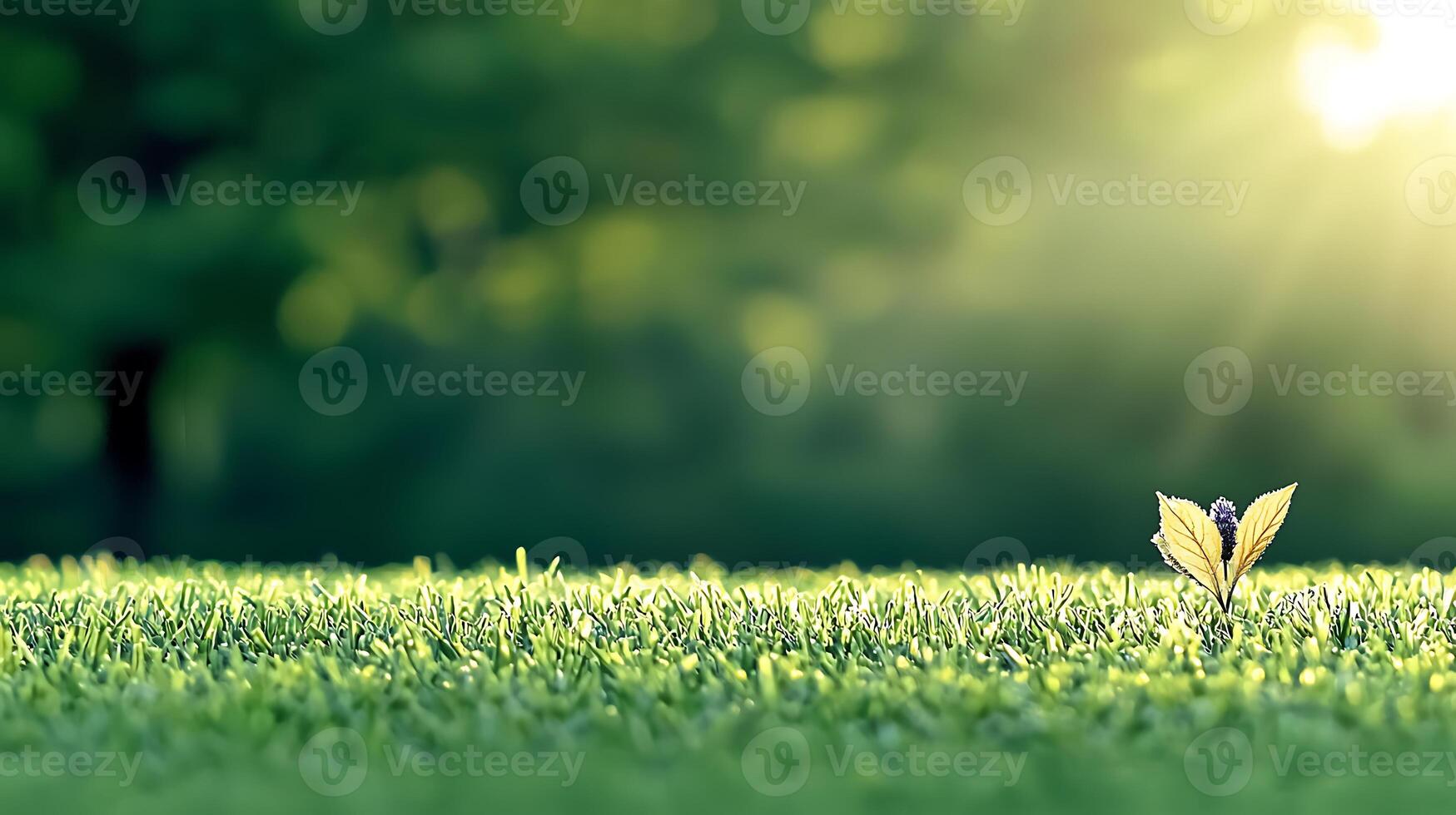 A single green sprout emerging from lush grass under soft sunlight in a serene natural setting photo