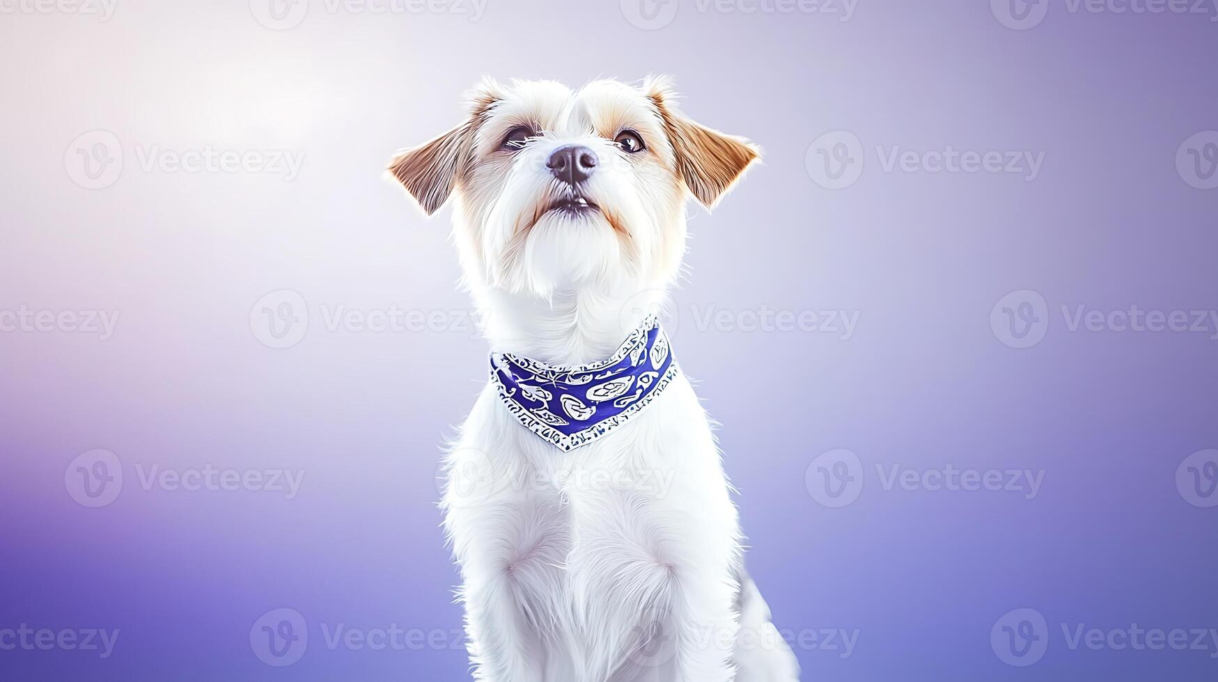 A small dog with a blue bandana poses against a soft purple background, showcasing its playful demeanor photo