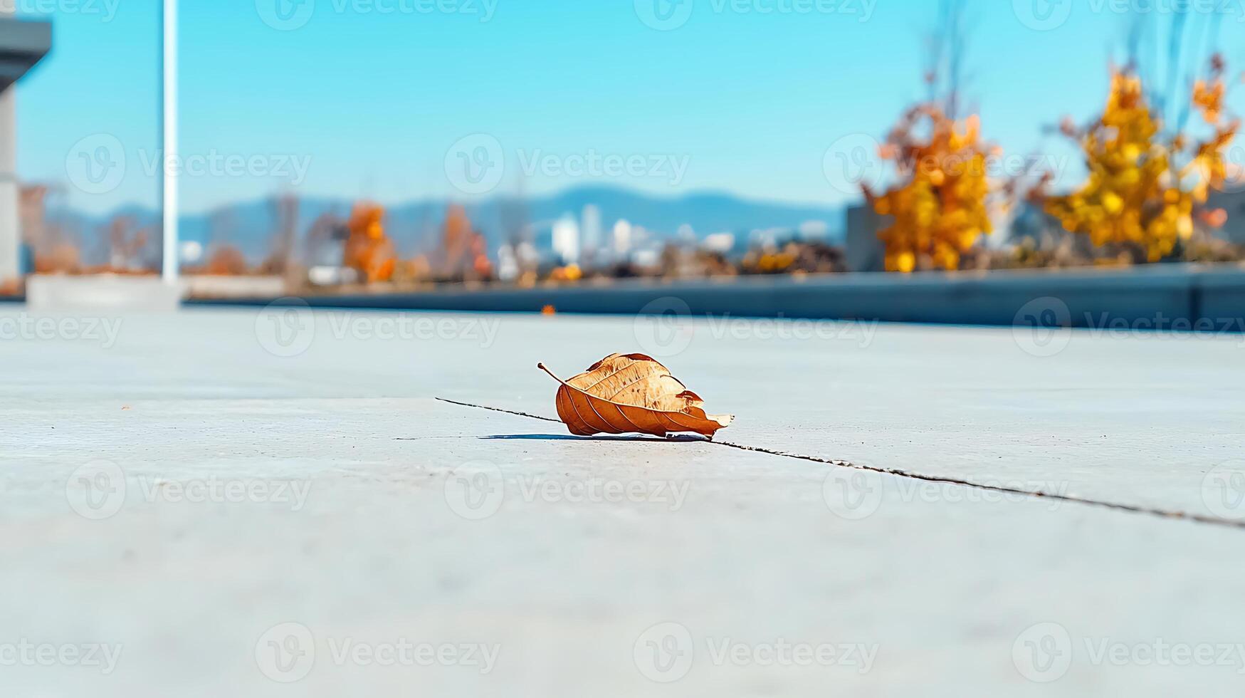 A solitary autumn leaf resting on a smooth concrete surface with a vibrant city backdrop photo