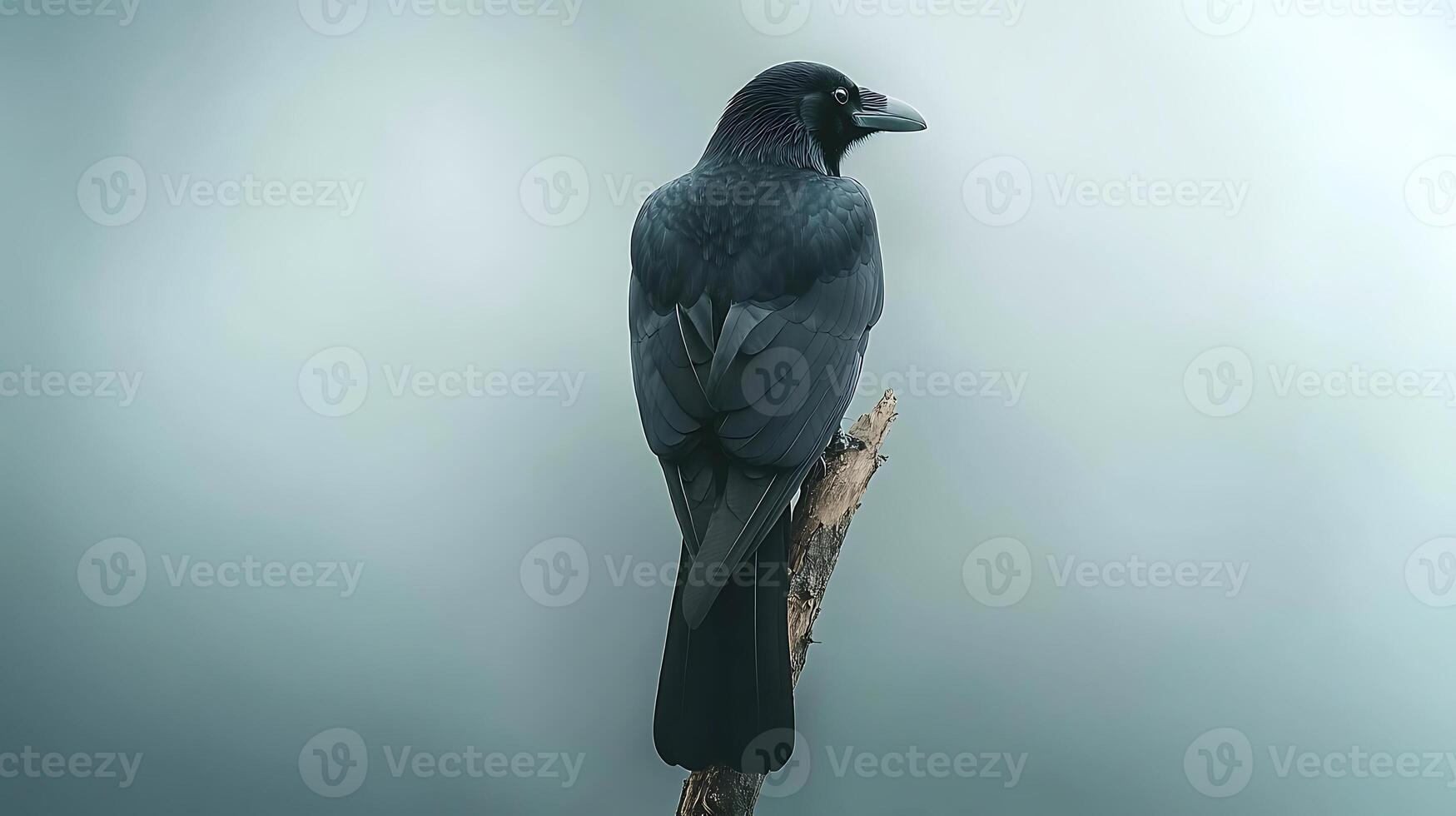 A solitary raven perched on a branch against a soft, misty background, evoking a sense of calm photo