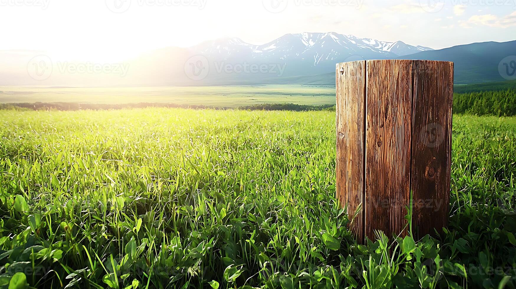A solitary wooden stump in a vibrant green field with mountains and a sunrise in the background photo