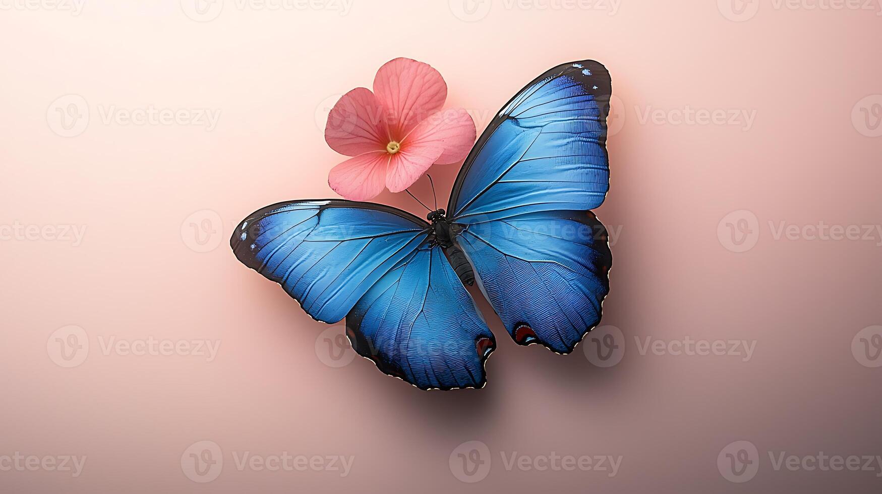 A vibrant blue butterfly resting on a pink flower against a soft pastel background photo