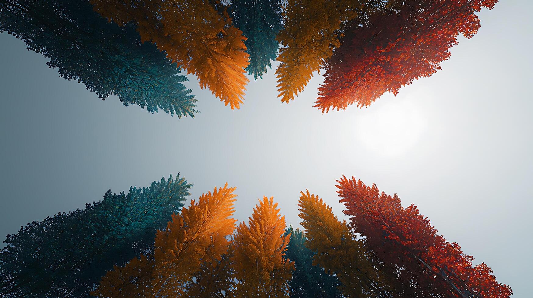 Aerial view of vibrant autumn trees with contrasting colors against a bright sky photo