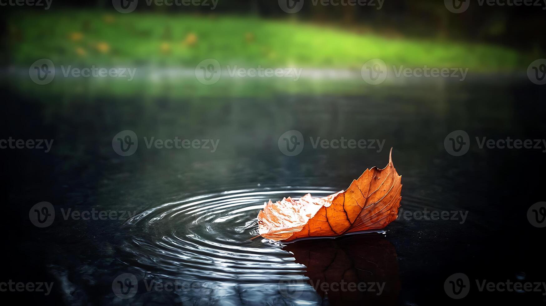 Autumn leaf floating on calm water surface, ripples forming, serene natural setting photo