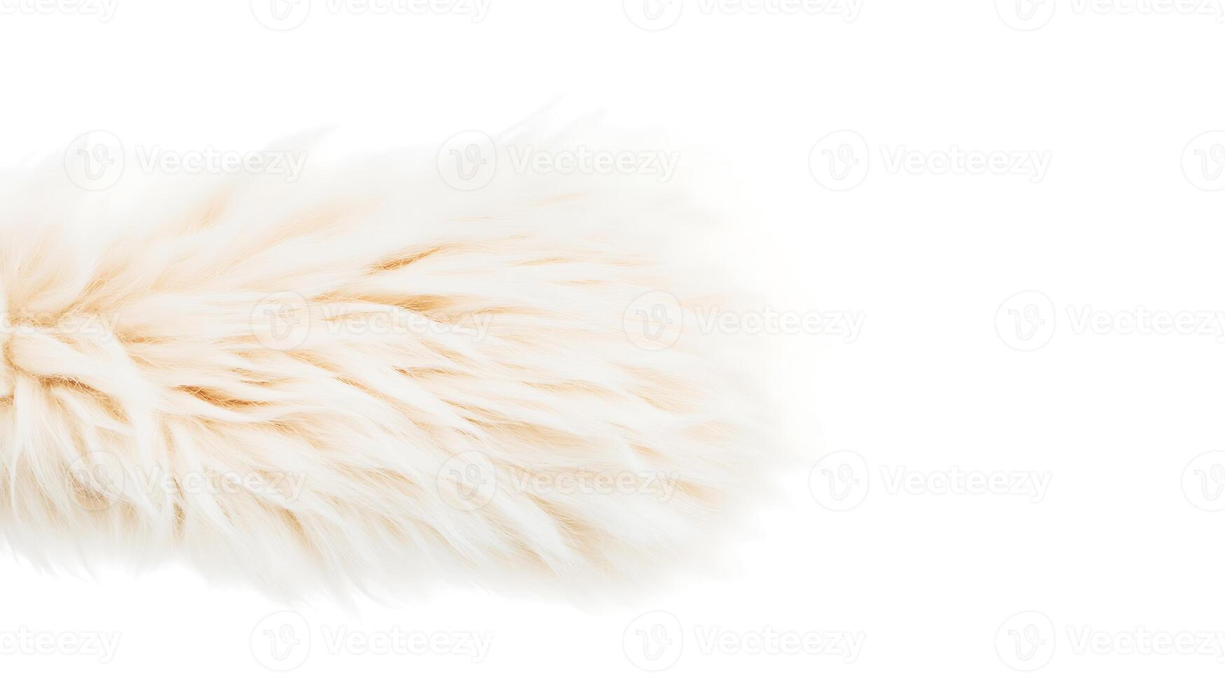 Close-up of a soft, fluffy white fur texture against a plain background, ideal for design use photo