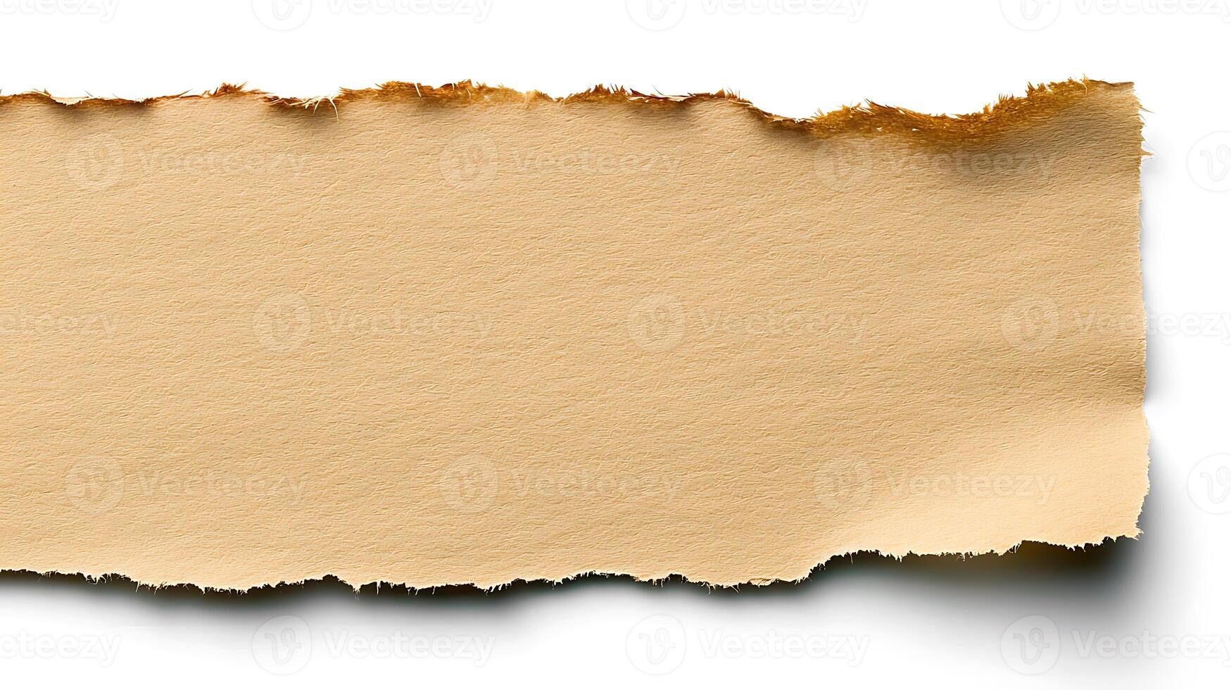 Close-up of a torn beige paper strip with a textured edge against a white background photo