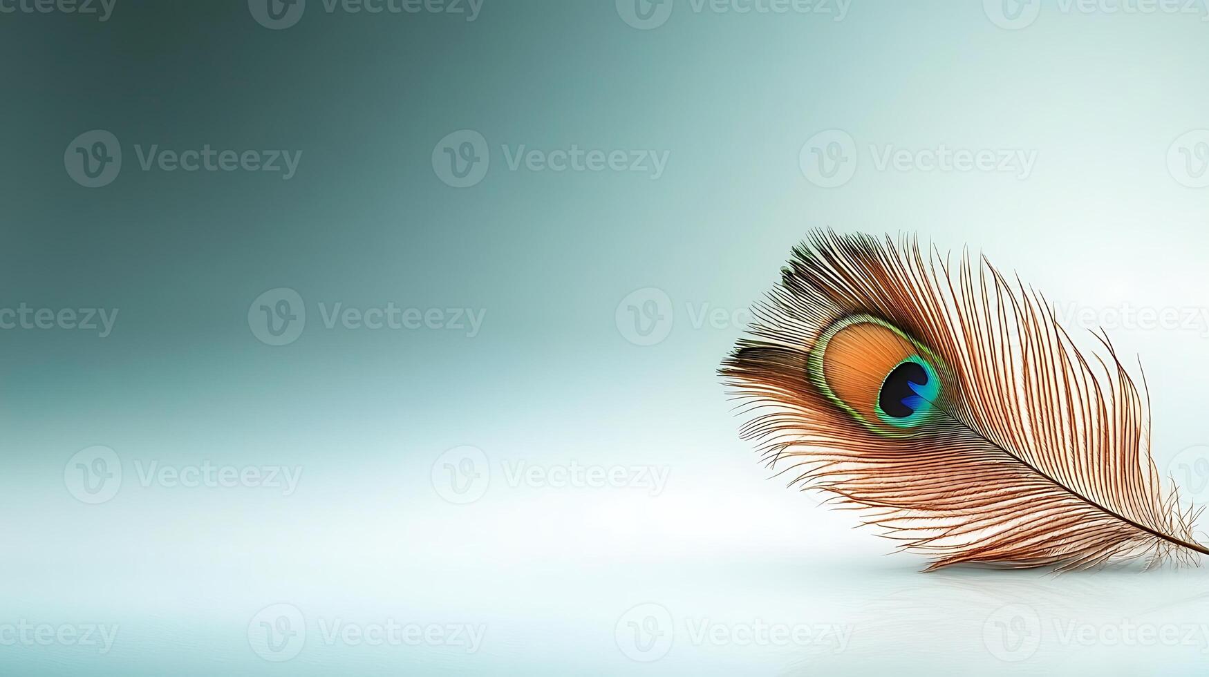 Close-up of a vibrant peacock feather resting on a smooth surface, showcasing its intricate details photo