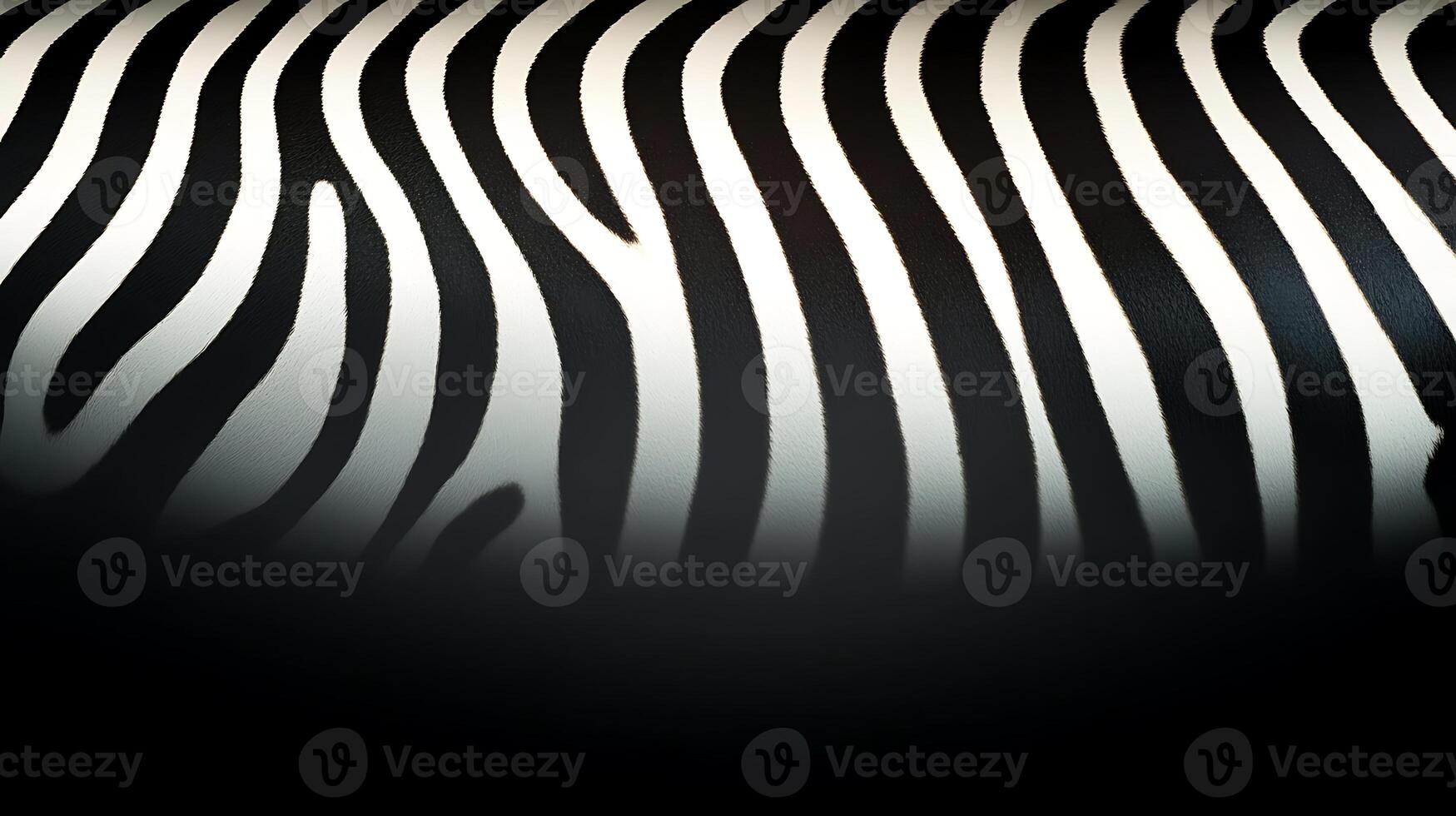 Close-up of a zebra's black and white striped coat, emphasizing unique patterns and textures photo