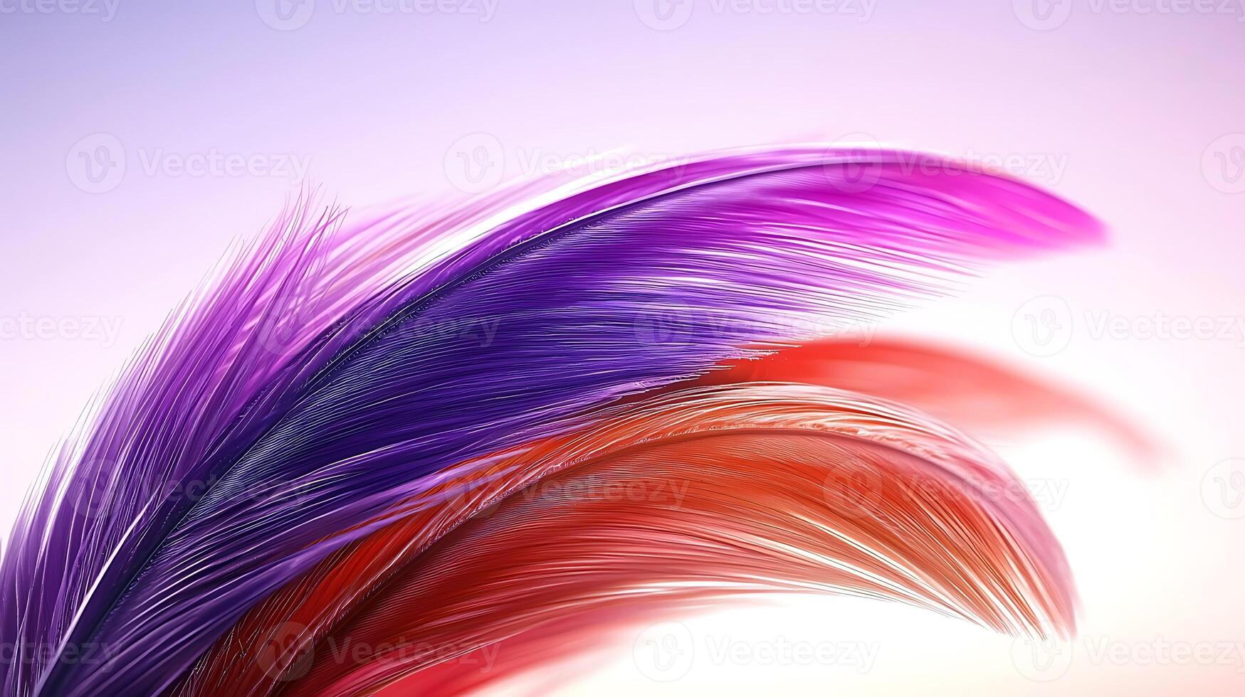 Colorful abstract feathers gracefully flowing against a soft gradient background photo
