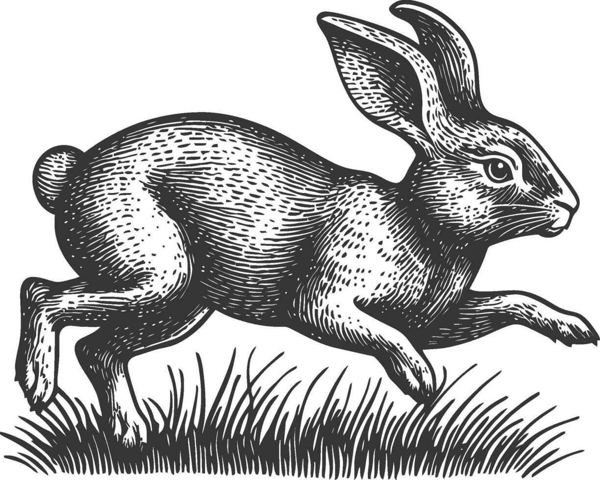 Running Rabbit Engraving in Vintage Style for Artistic Projects vector