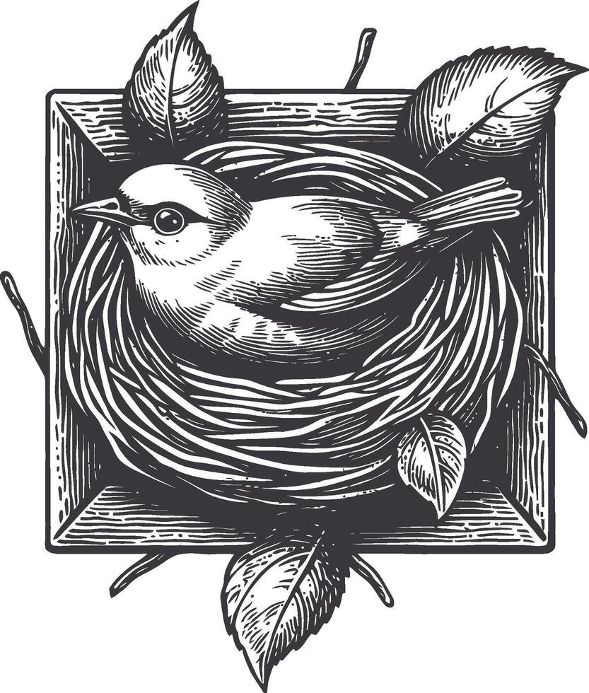 Detailed Engraving of Bird Nest with Leaves in Vintage Linocut Style vector