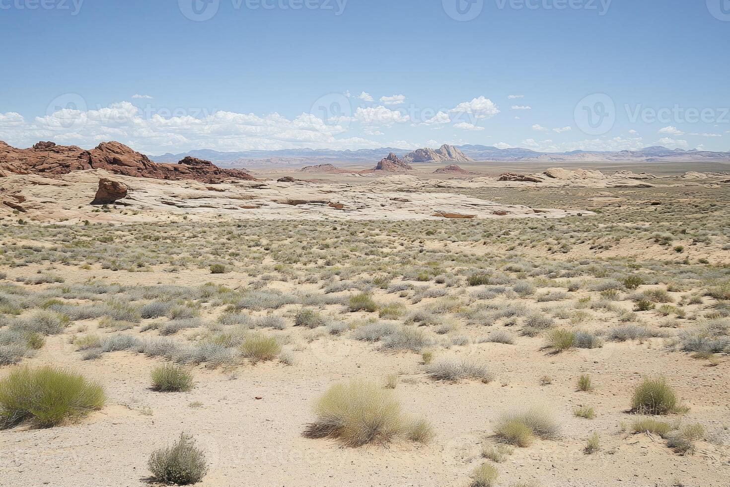 A desert area with a few bushes and rocks photo
