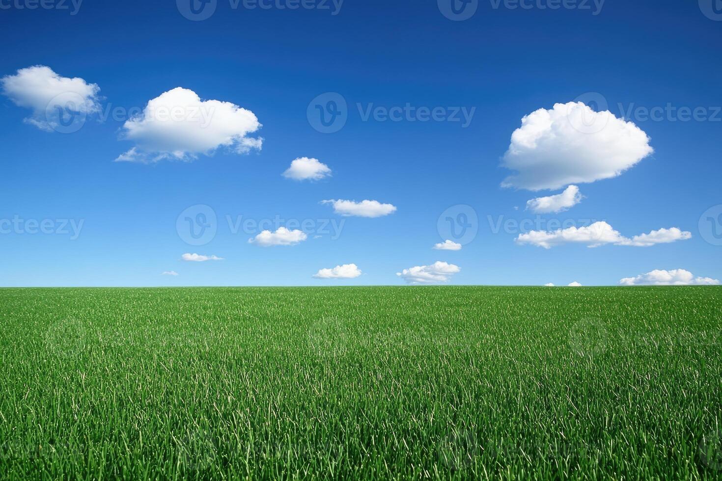 A green field with some clouds in the sky photo