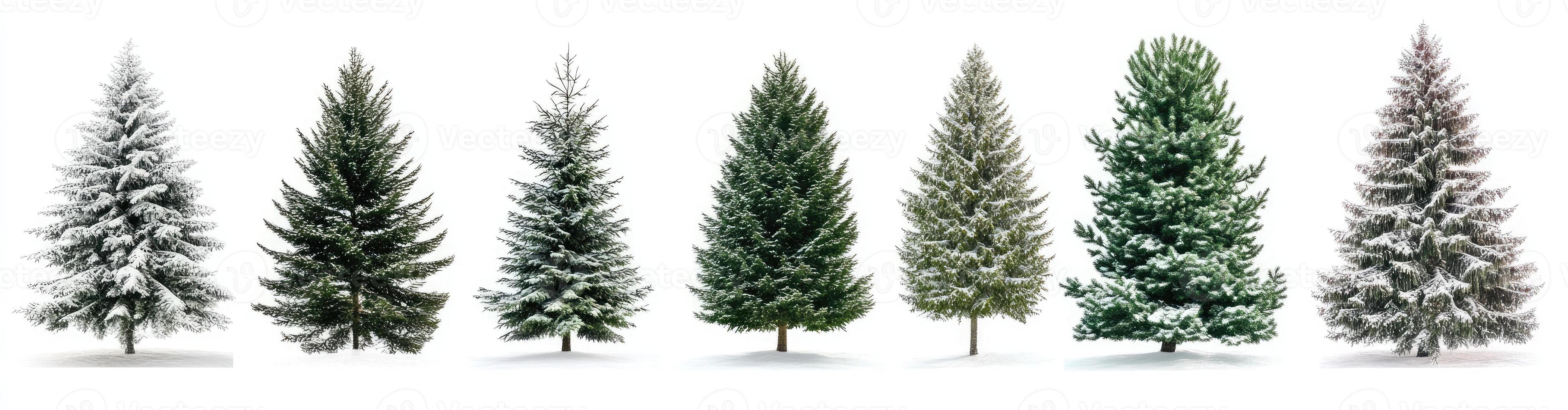 A set of different types of trees in different colors photo