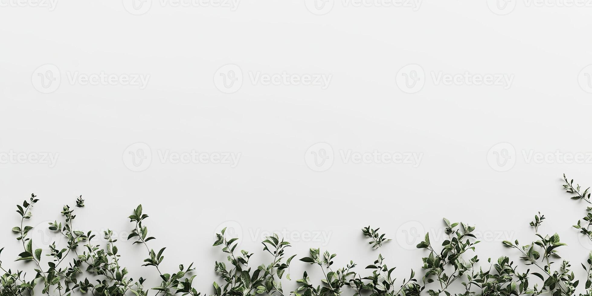 Simple greenery border on a plain background photo