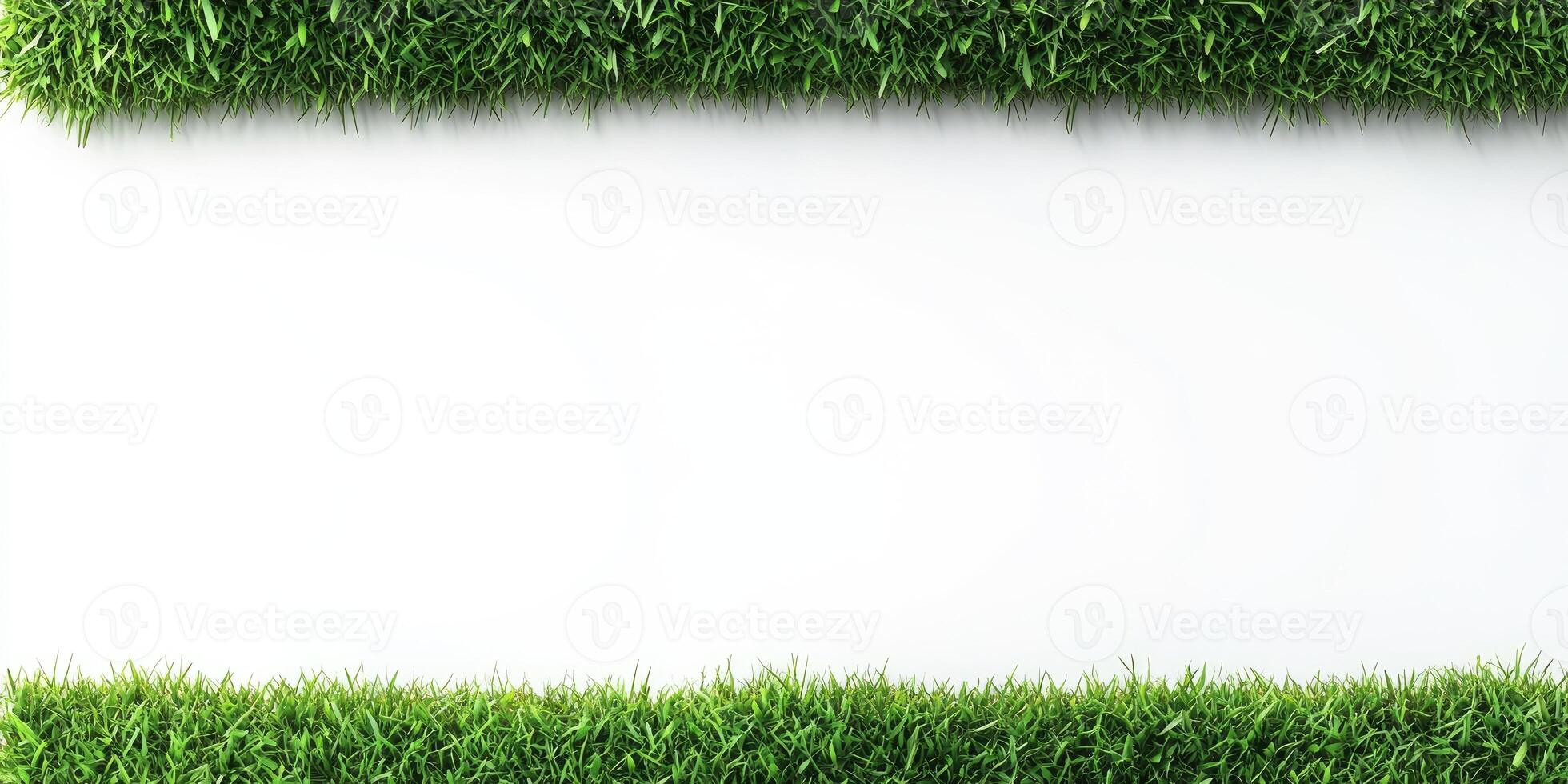 Two horizontal rows of artificial grass framing a white background photo