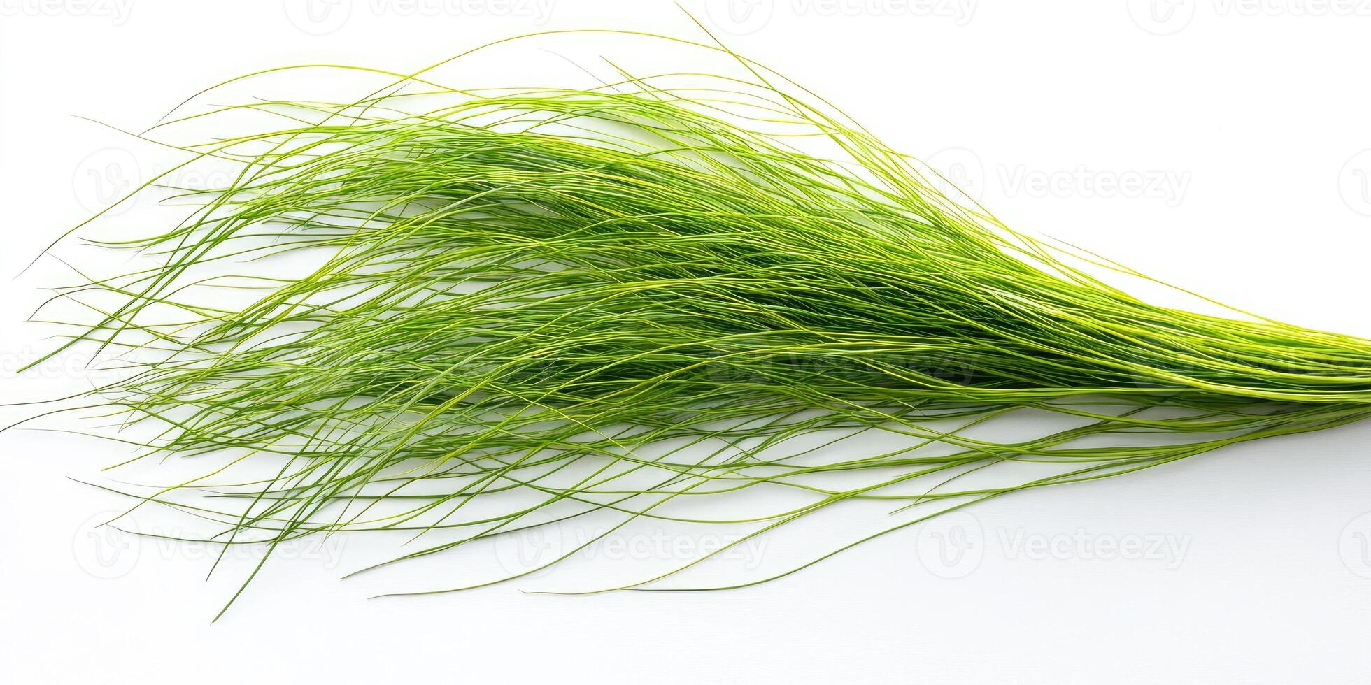 Lush Green Grass Tuft photo
