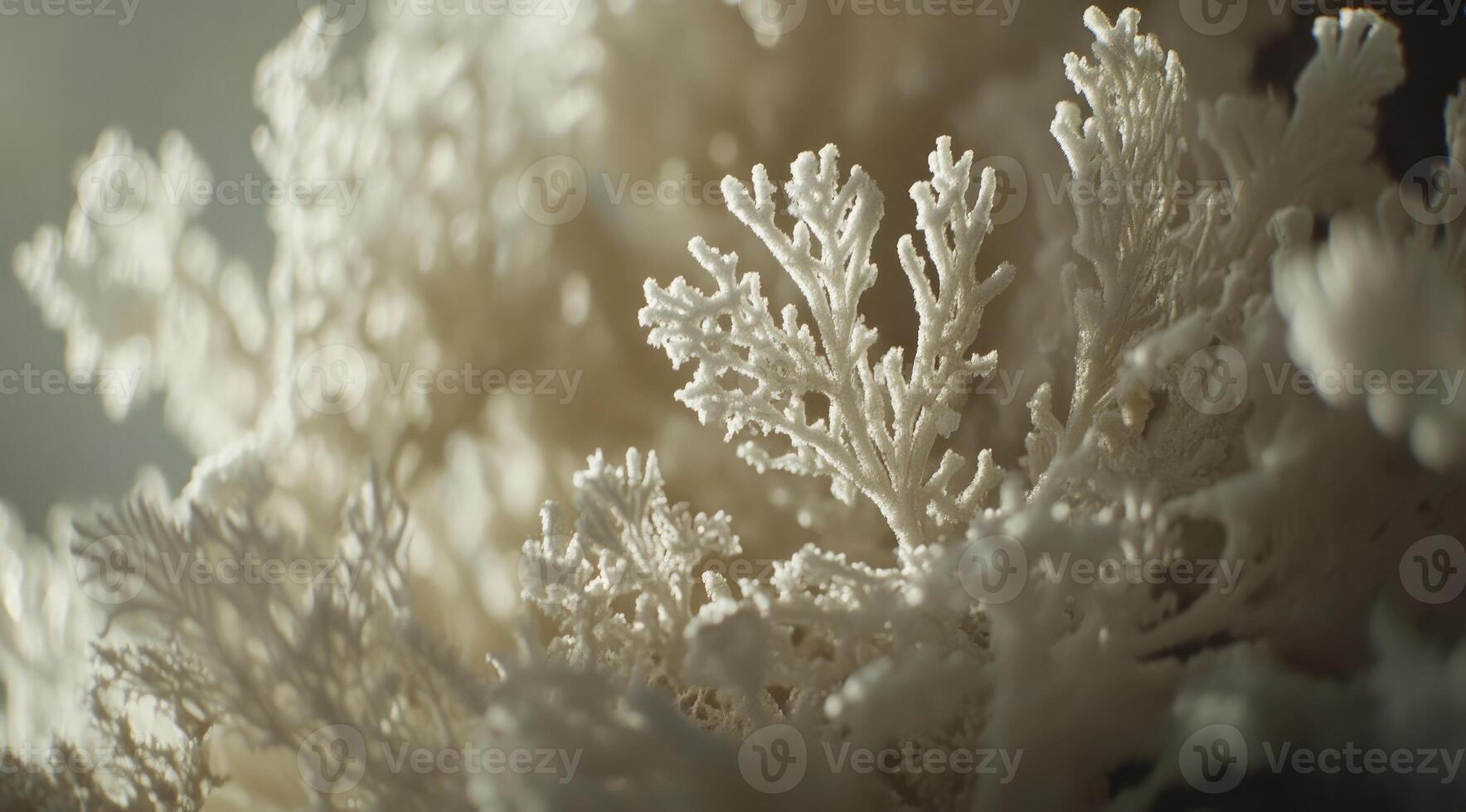 Close-up of intricate, delicate, white, branching structures photo
