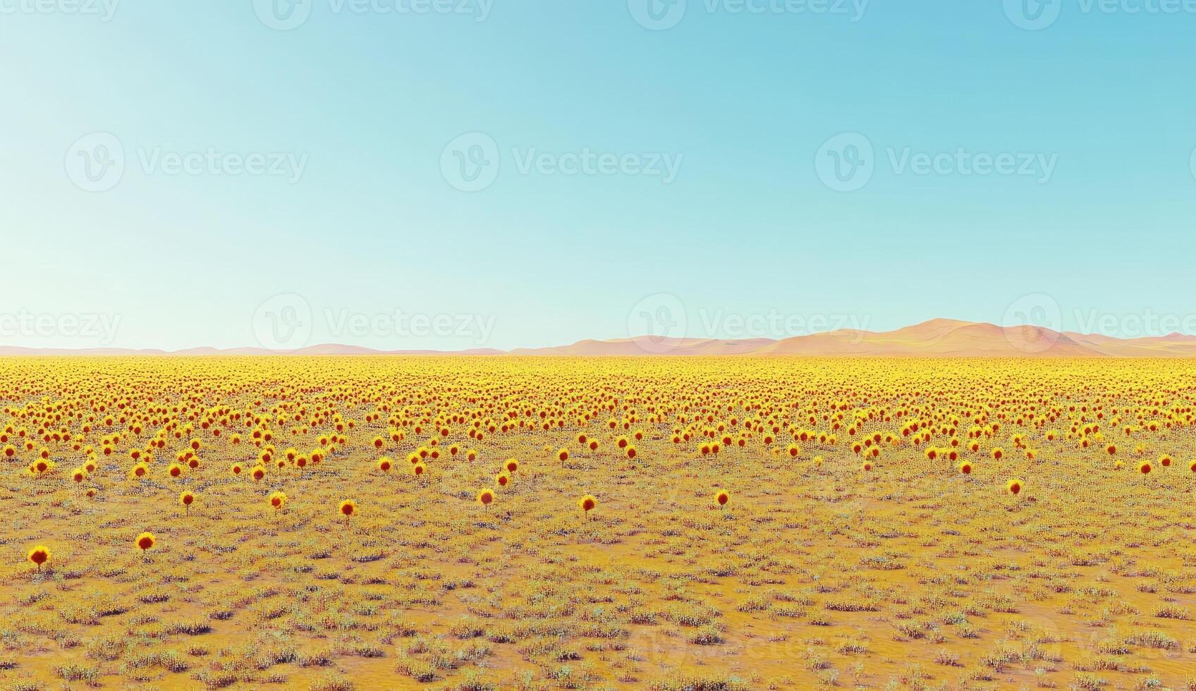 Vast, sun-drenched desert field dotted with small, vibrant flowers photo