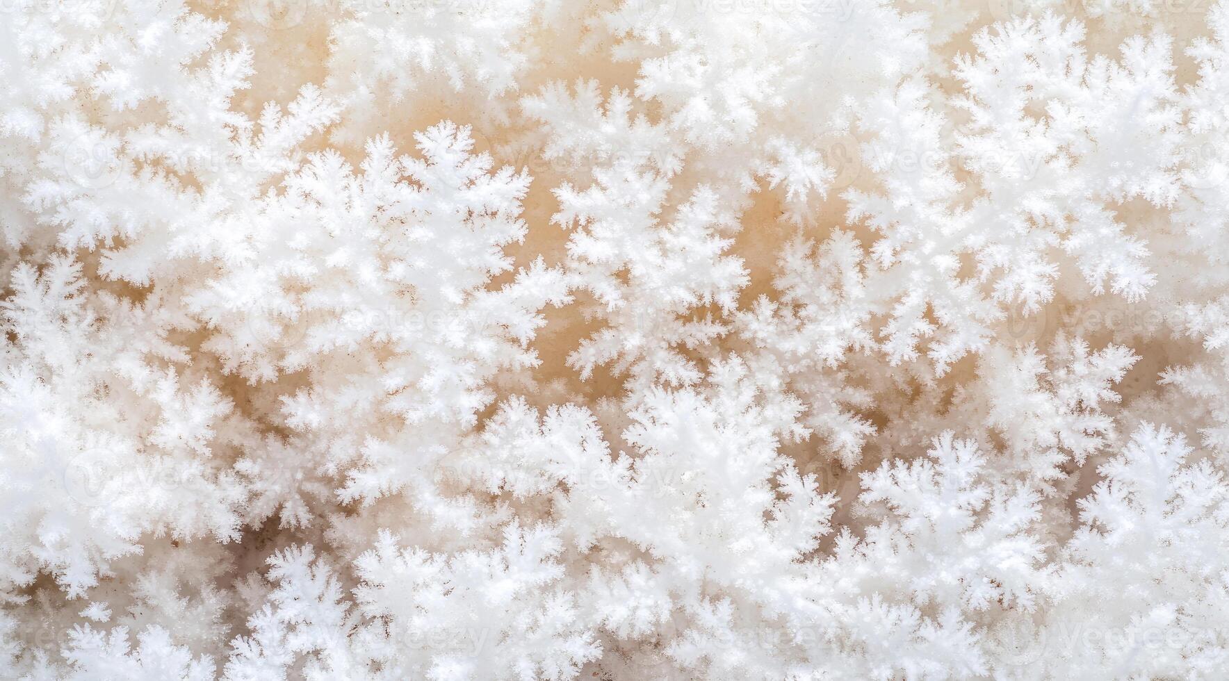 Close-up of intricate crystalline formations photo