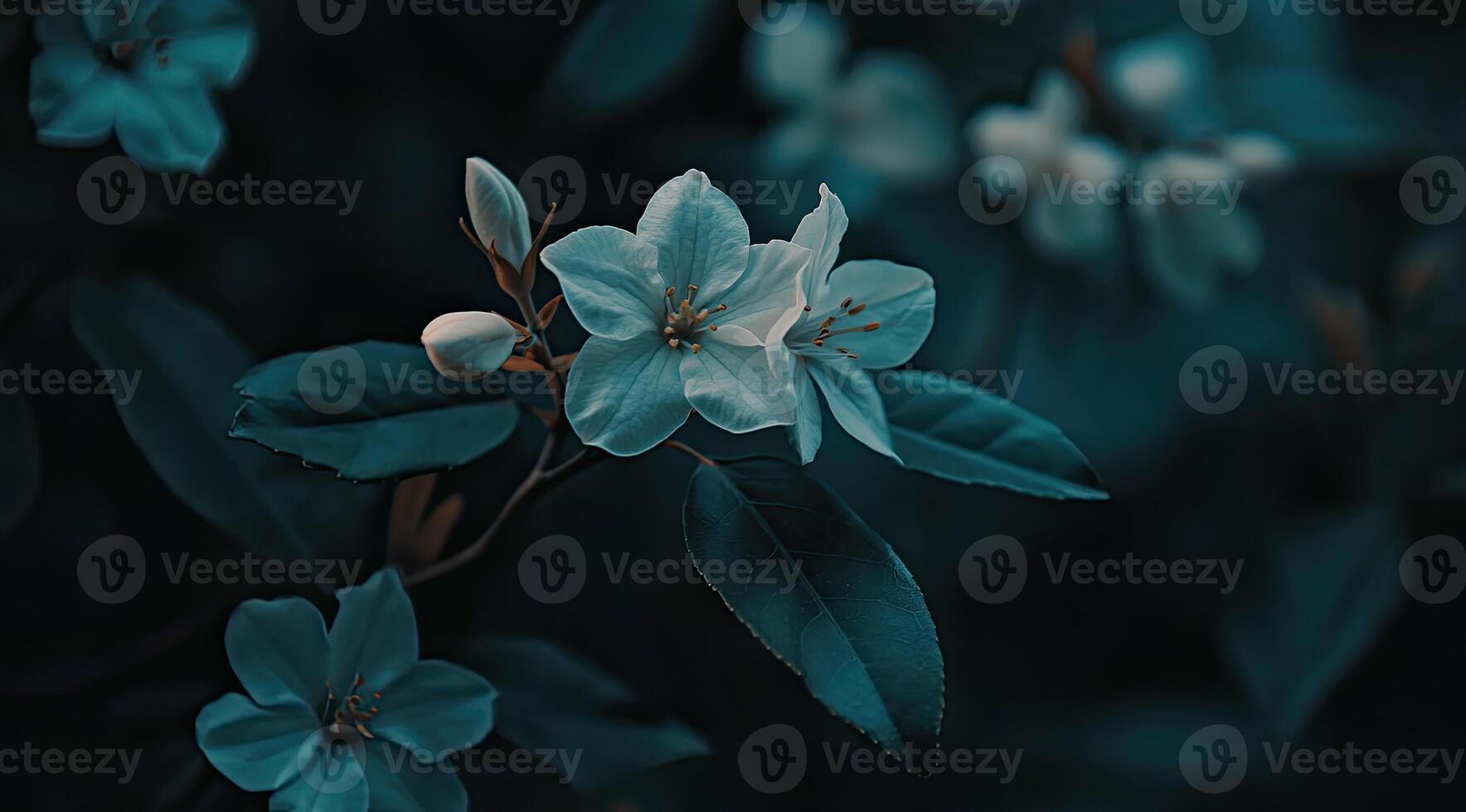 Soft, pale blooms in a dark, lush garden photo