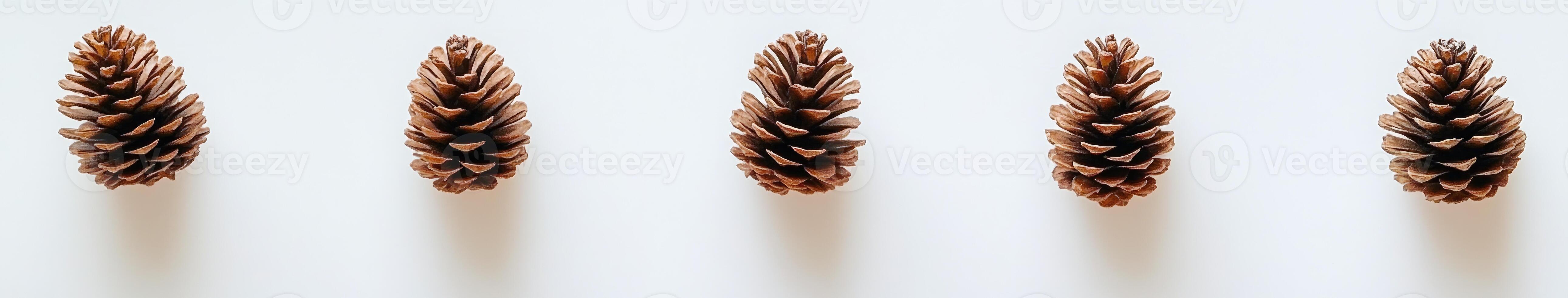 Five pine cones arranged in a row on a white surface photo