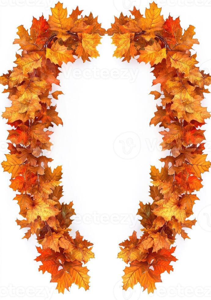 Autumnal Leaf Arch Frame photo