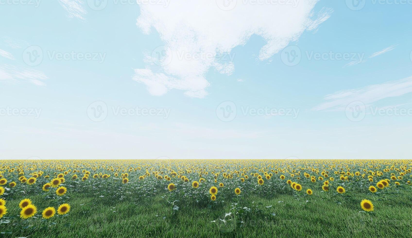 Sunflowers field under a vibrant sky photo