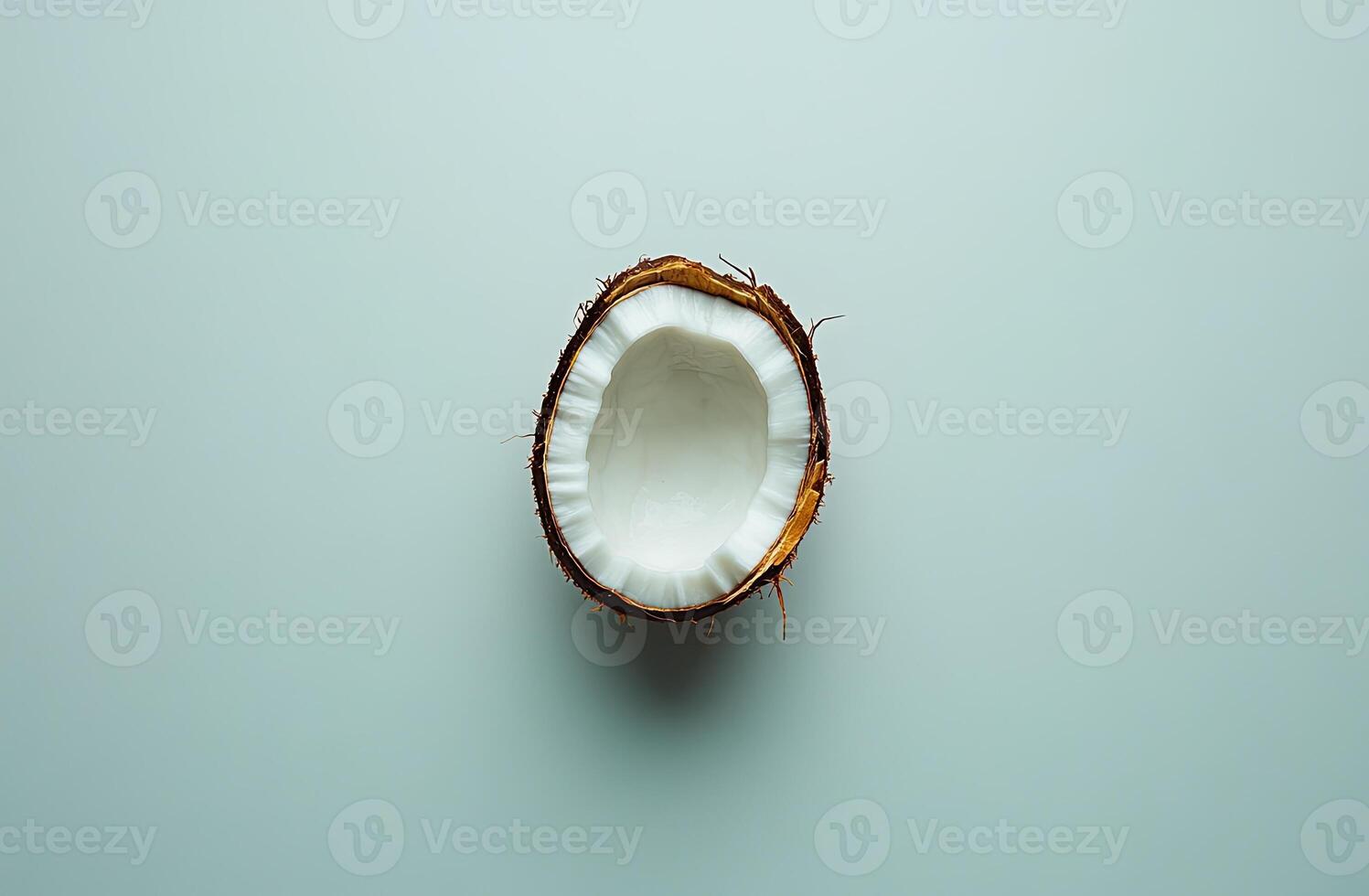 Half a coconut, perfectly halved, exposing the white flesh photo