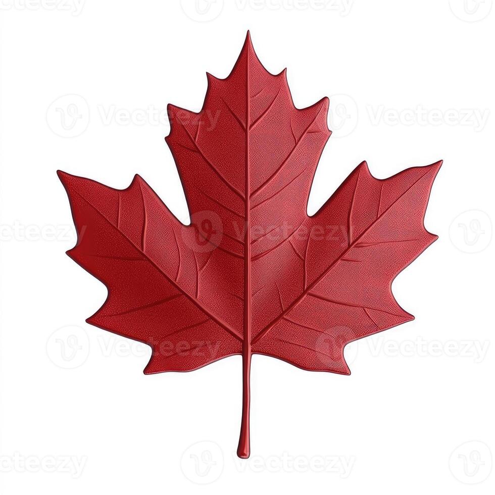 Vivid red maple leaf, detailed illustration photo