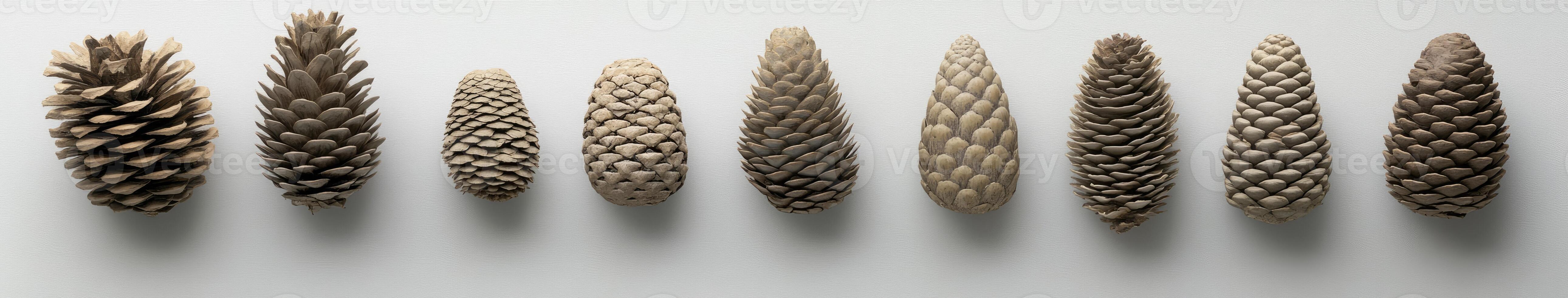 Various Cones in a Row photo