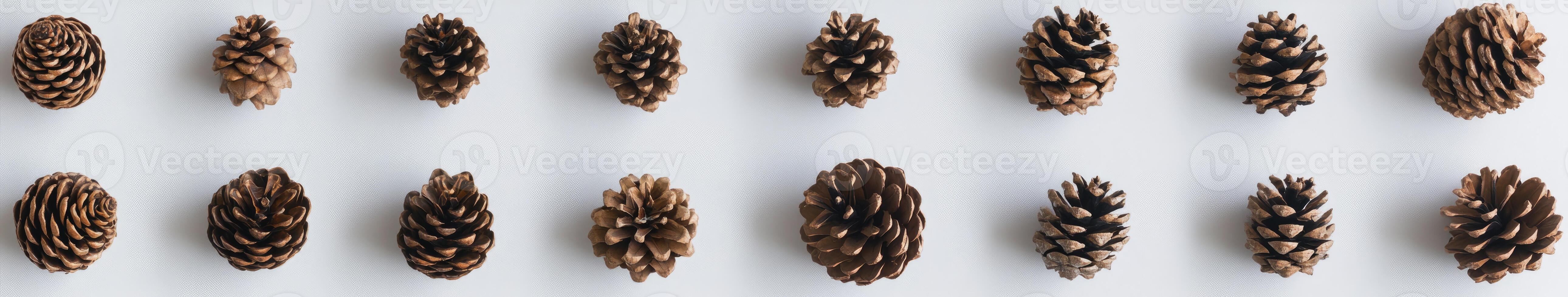 Pine Cones Arranged in a Grid photo