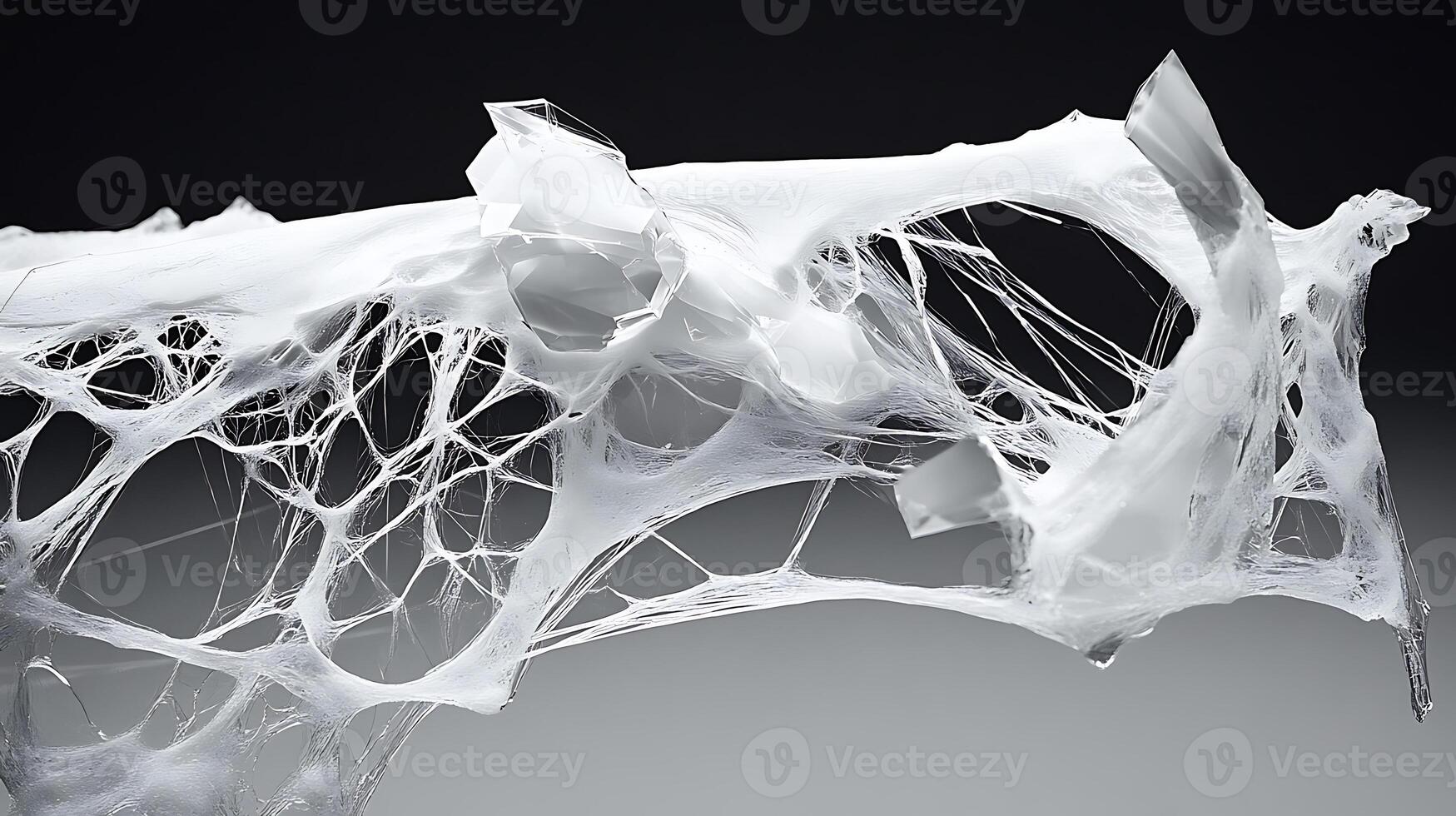 Abstract Web-Like Structure with Transparent Elements on Black Background photo