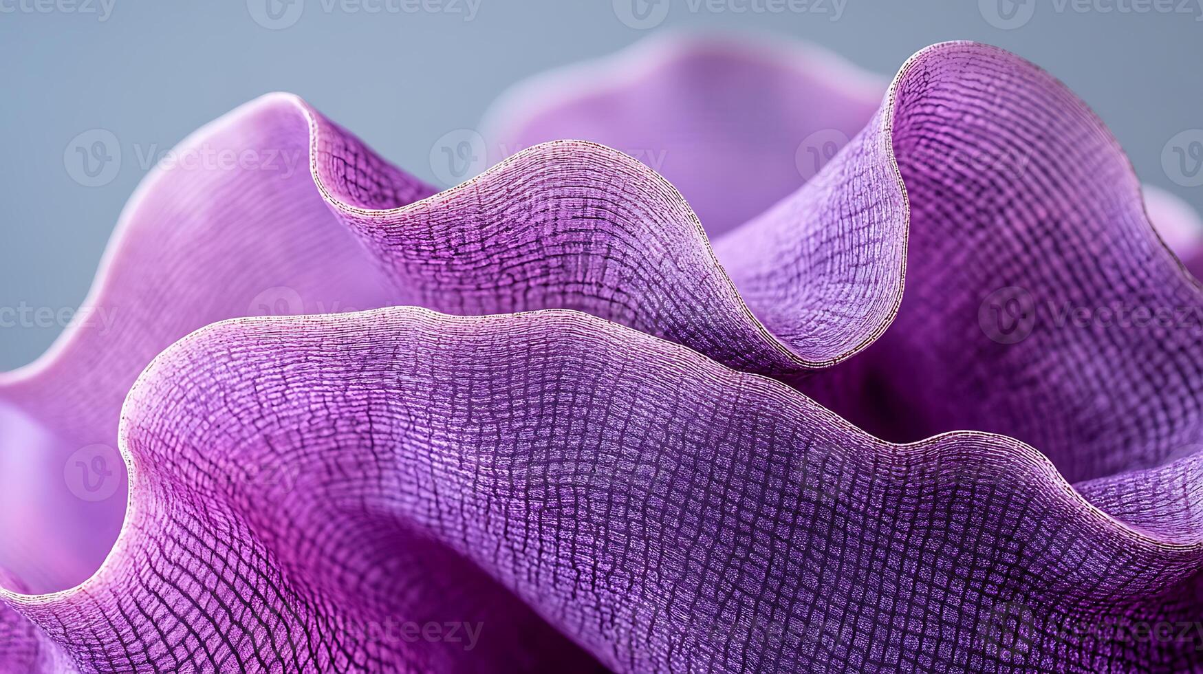Abstract Close-Up of Purple Fabric With Wavy Textured Patterned Surfaces photo